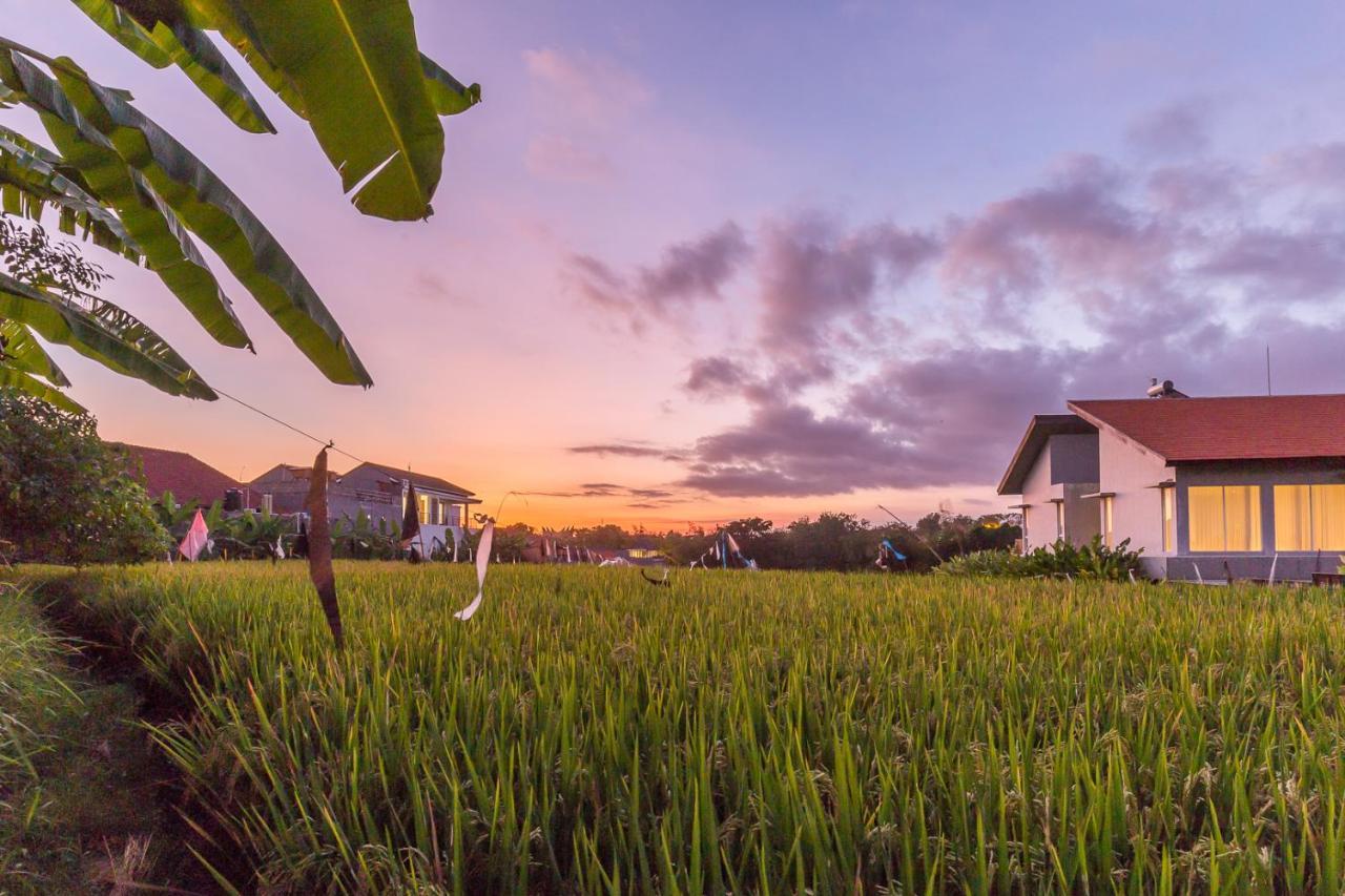 Charming Ricefield View 3 Bedrooms Villa 坎古 外观 照片